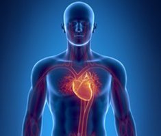 Slider image (4) PlacidWay Vietnam